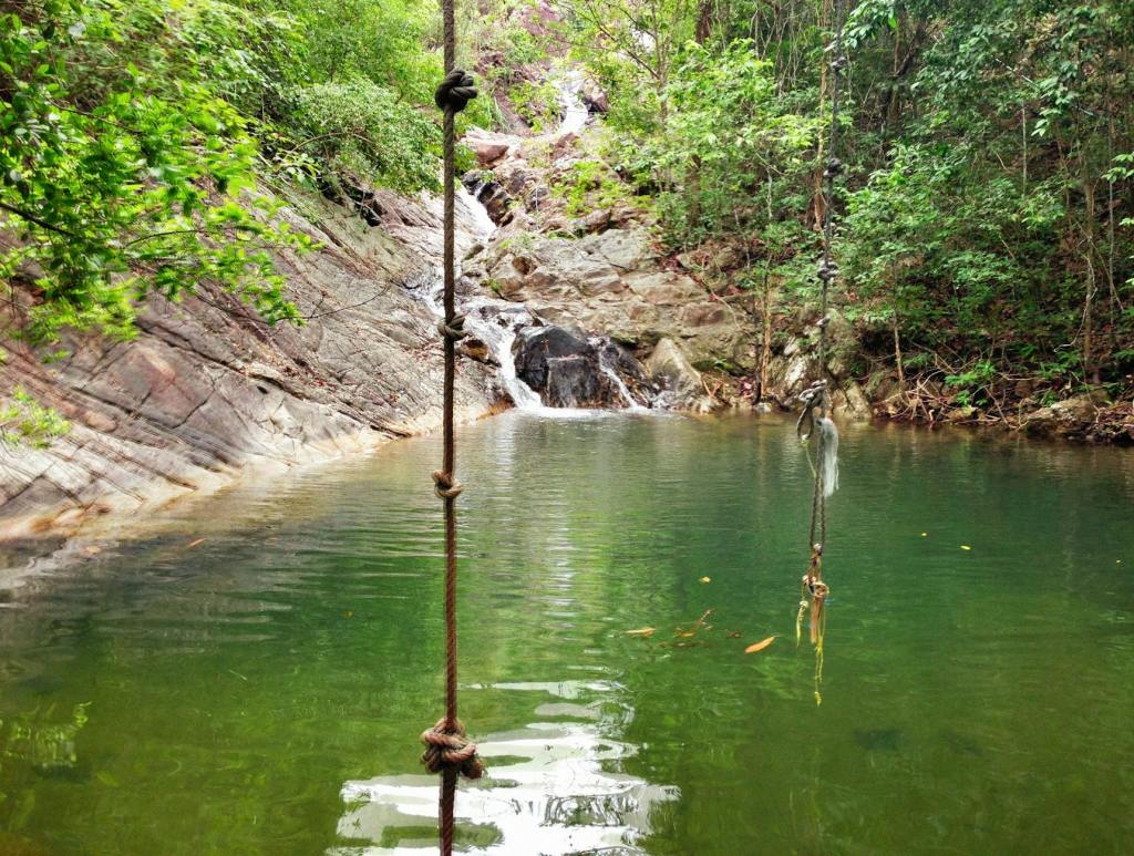 Swinging Back Into&nbsp;Creativity