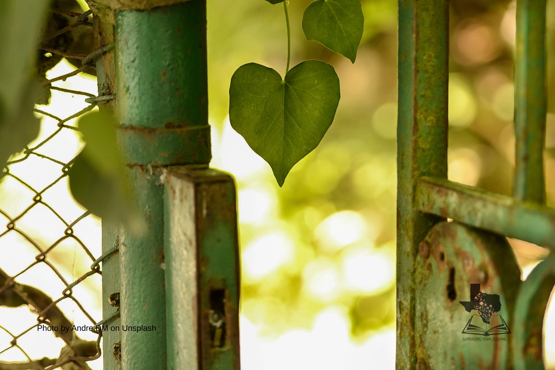 Hearts in the Everyday