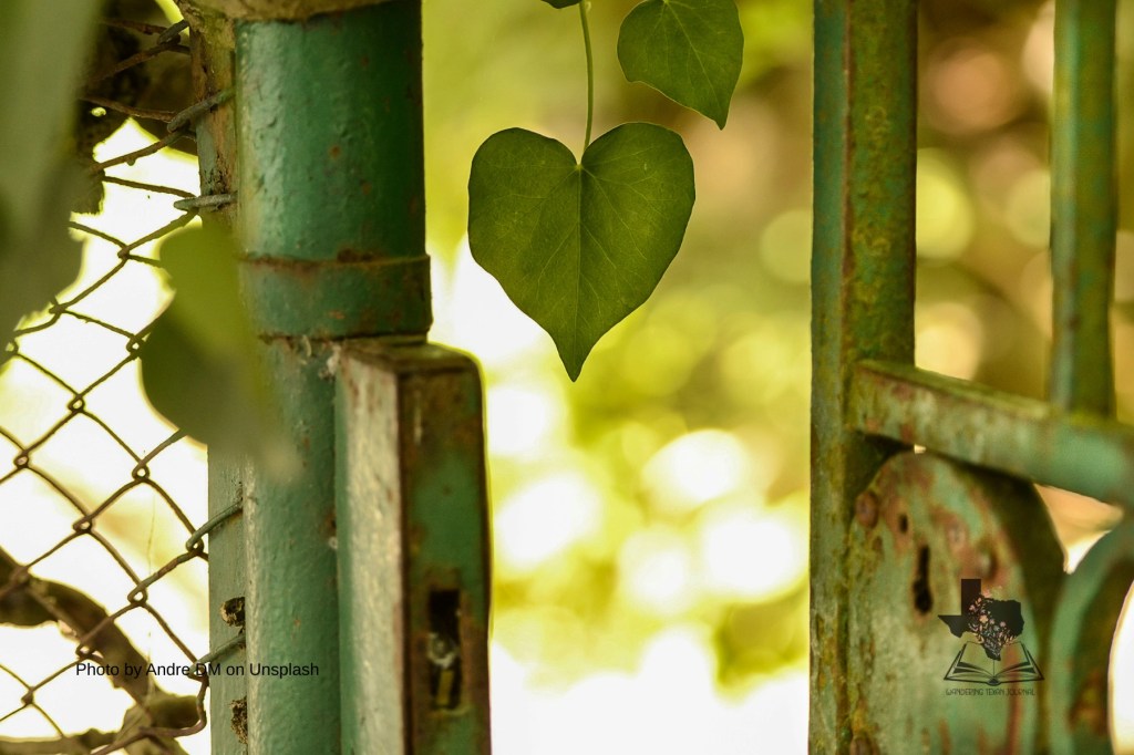 Hearts in the&nbsp;Everyday