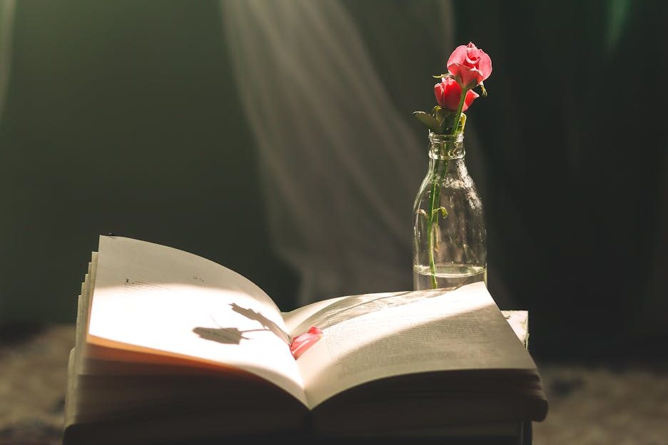 A One-Photo Challenge for Noticing&nbsp;Joy