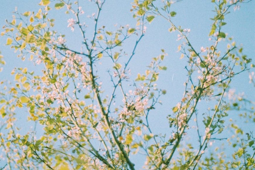 Letting Go in the March Wind