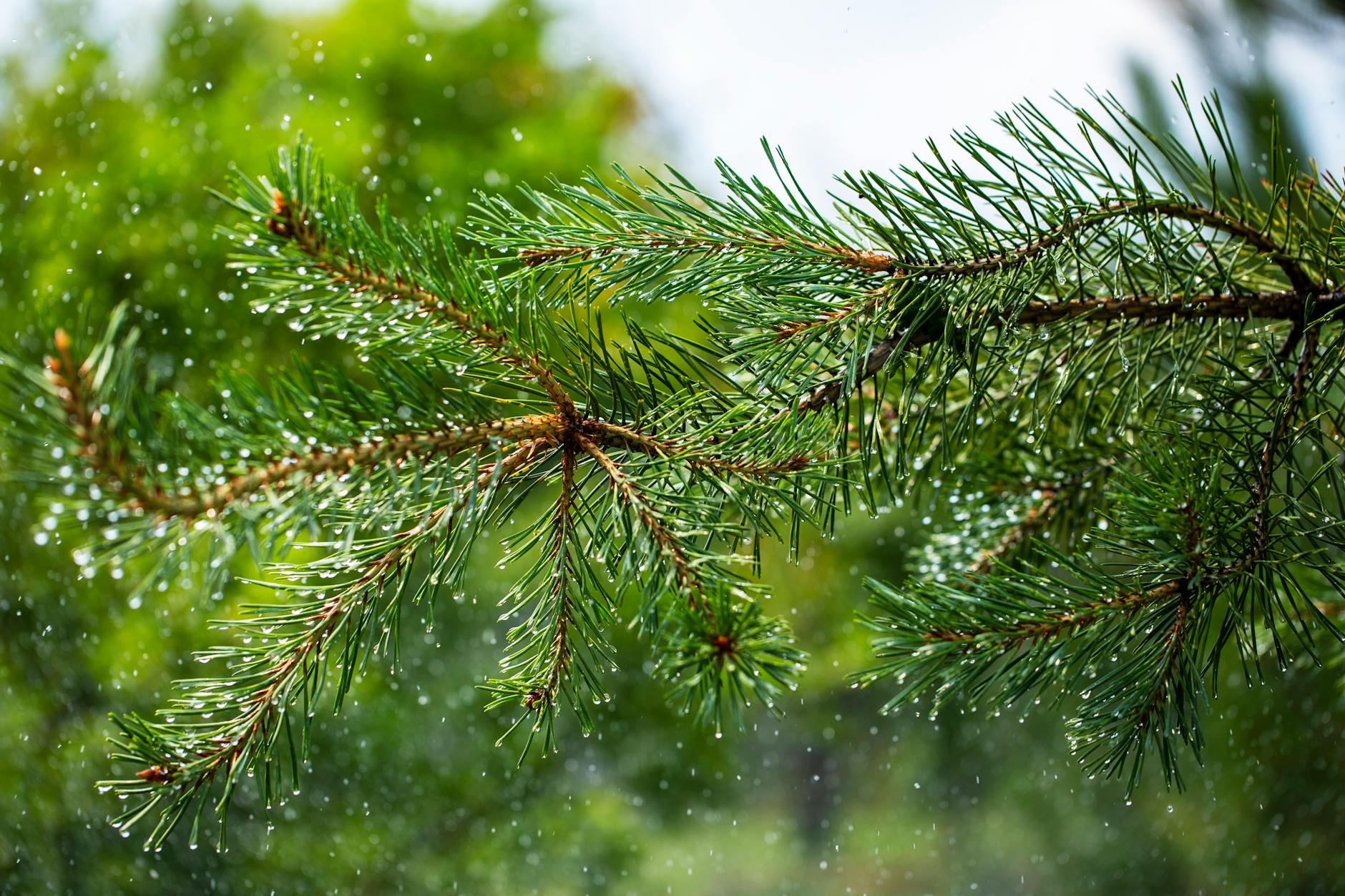 Why We Need Seasons of Rest to Truly Grow