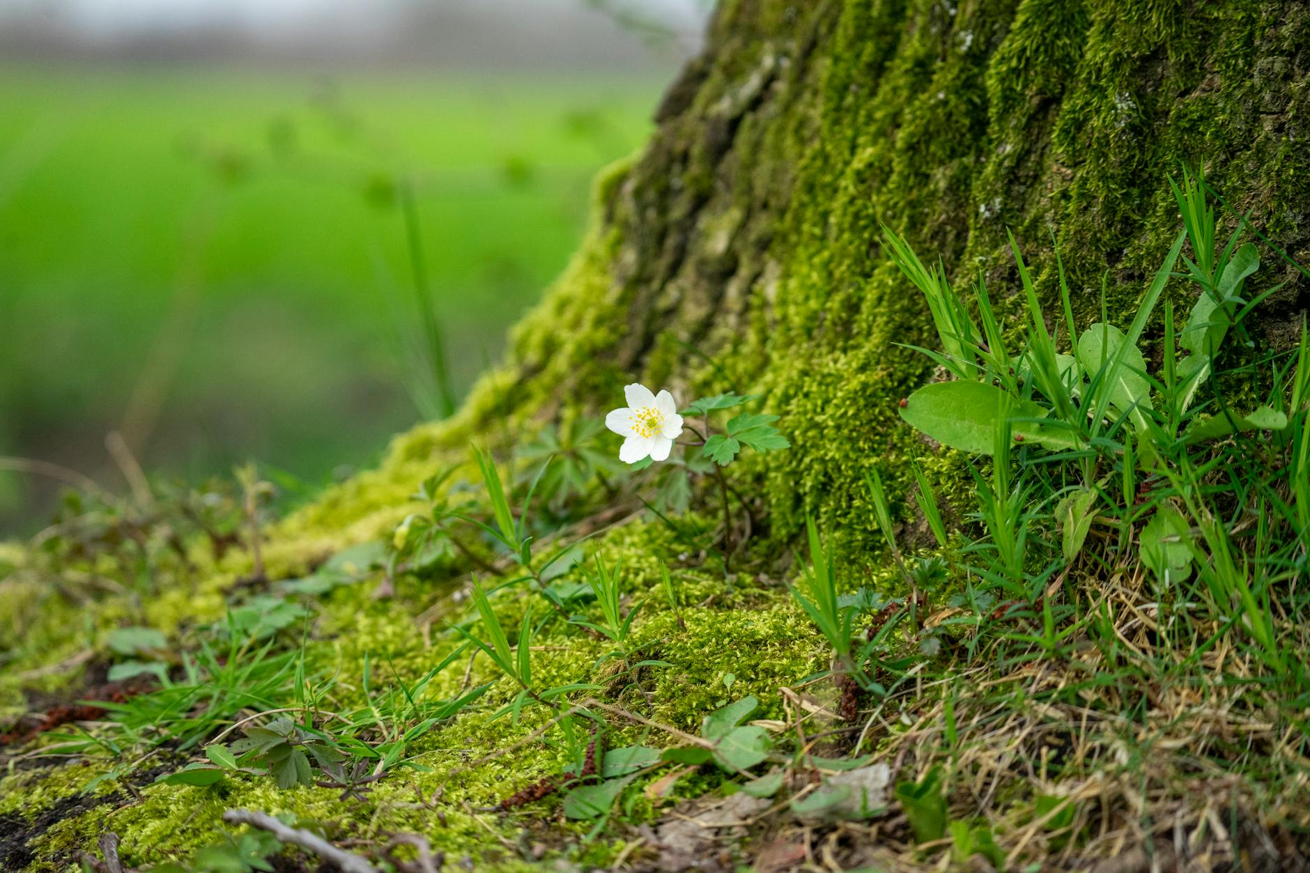 What You Find in a Moment of Stillness