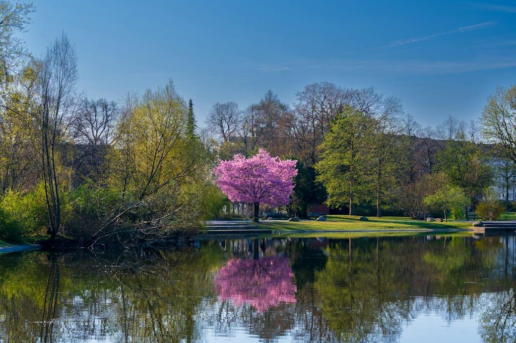 Friday Prompt: Something You’re Rooting For