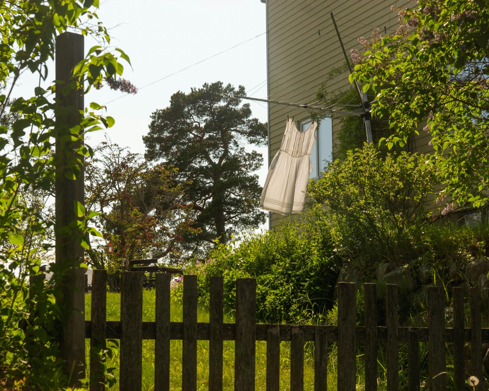 The Smell of Summer Memories